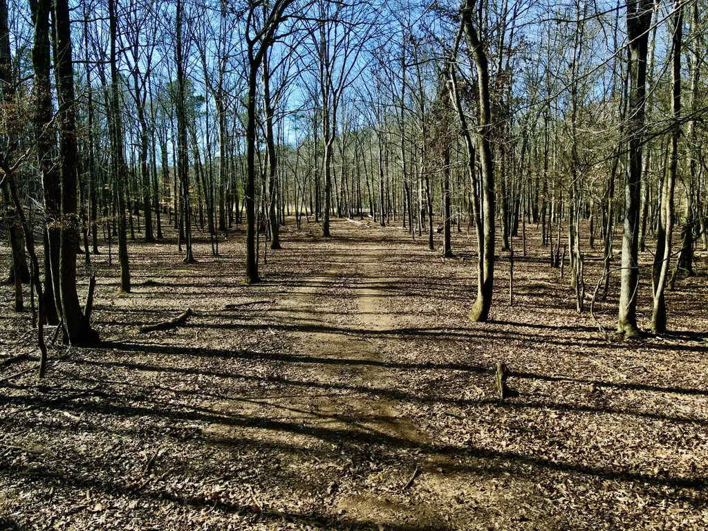 27550 Alabama 25 Wilsonville AL 35186