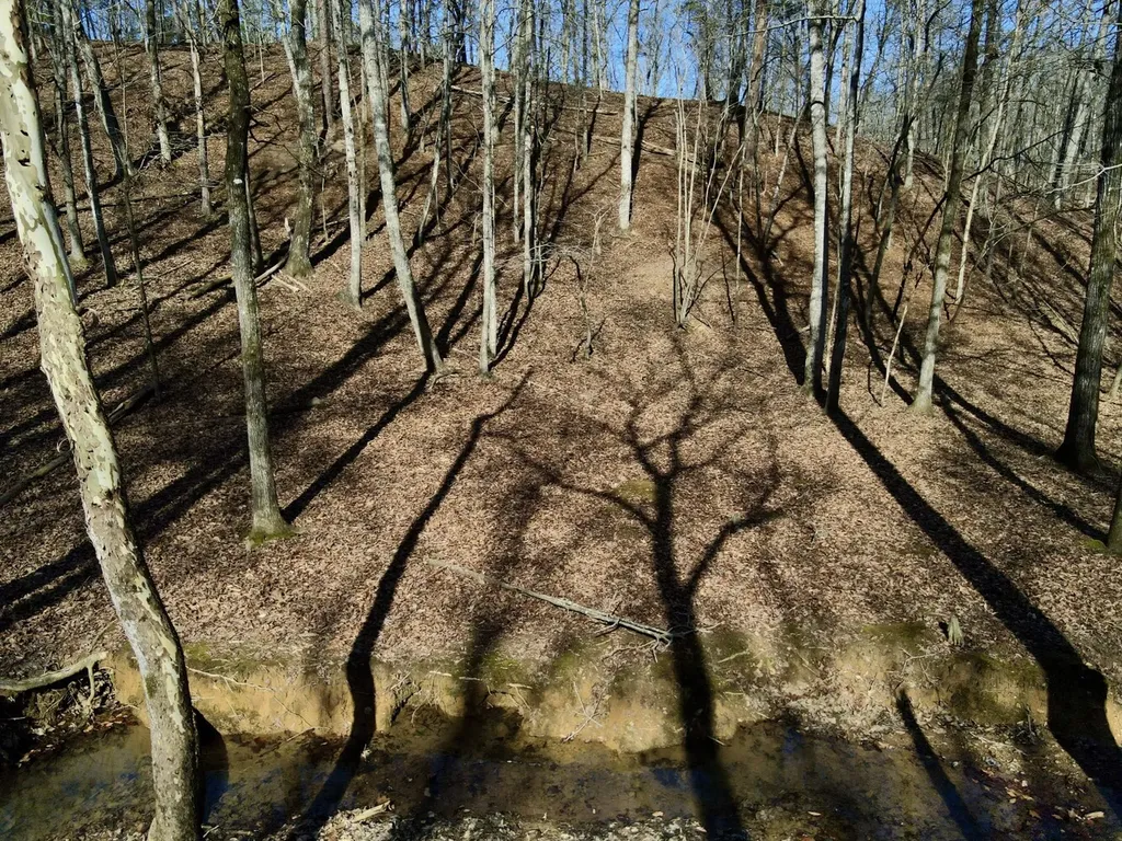 27550 Alabama 25 Wilsonville AL 35186