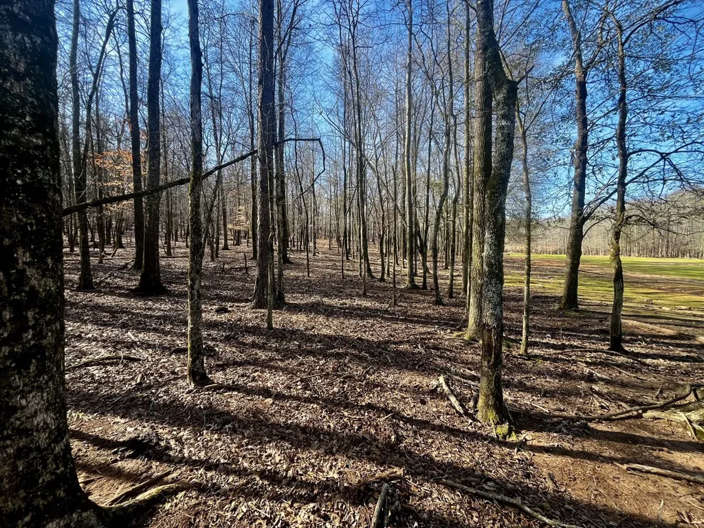 27550 Alabama 25 Wilsonville AL 35186