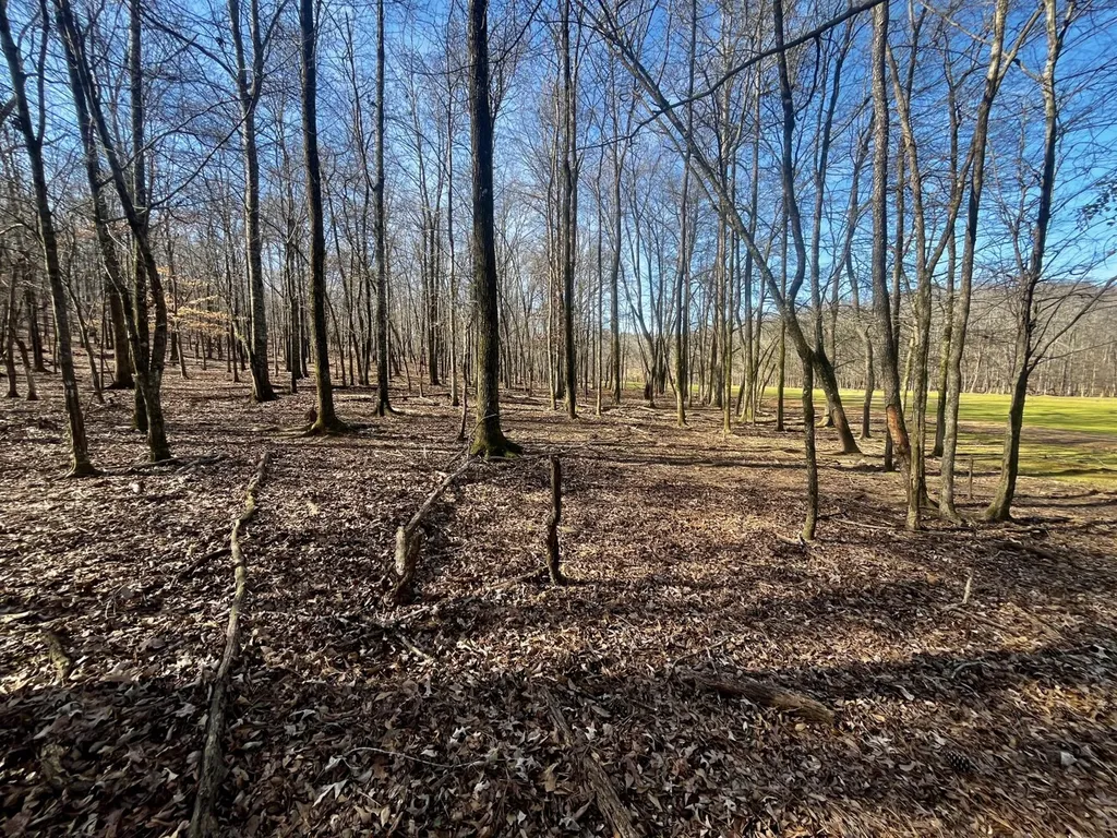 27550 Alabama 25 Wilsonville AL 35186