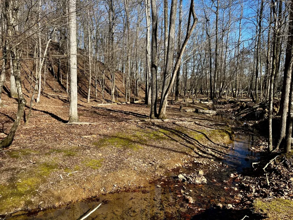 27550 Alabama 25 Wilsonville AL 35186