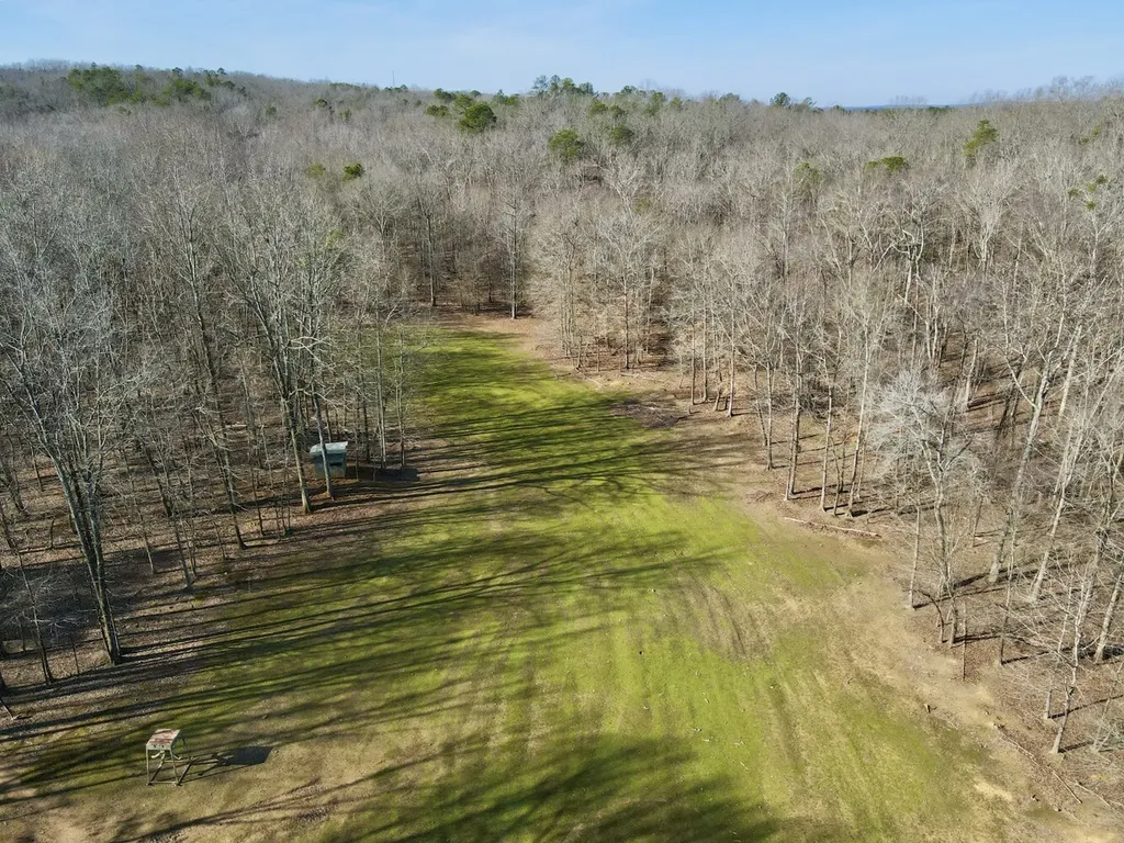 27550 Alabama 25 Wilsonville AL 35186