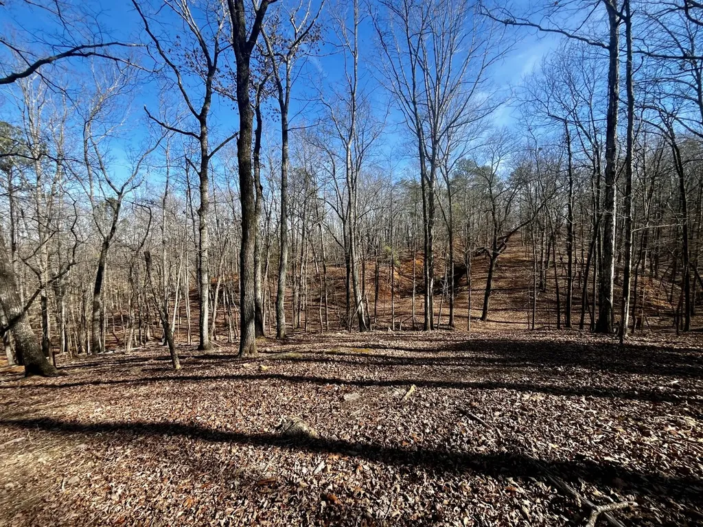 27550 Alabama 25 Wilsonville AL 35186