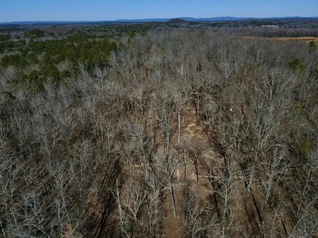 27550 Alabama 25 Wilsonville AL 35186