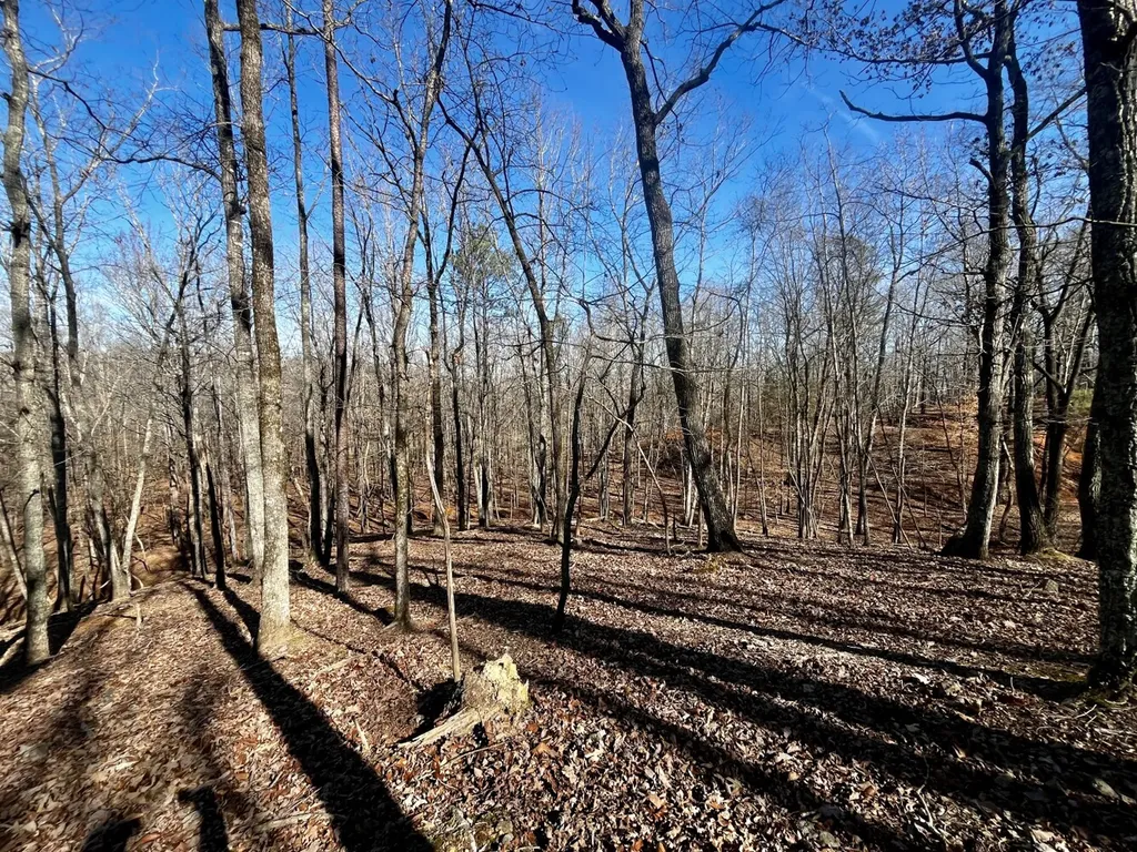 27550 Alabama 25 Wilsonville AL 35186