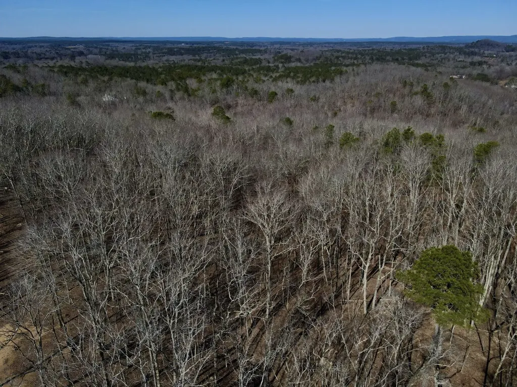 27550 Alabama 25 Wilsonville AL 35186