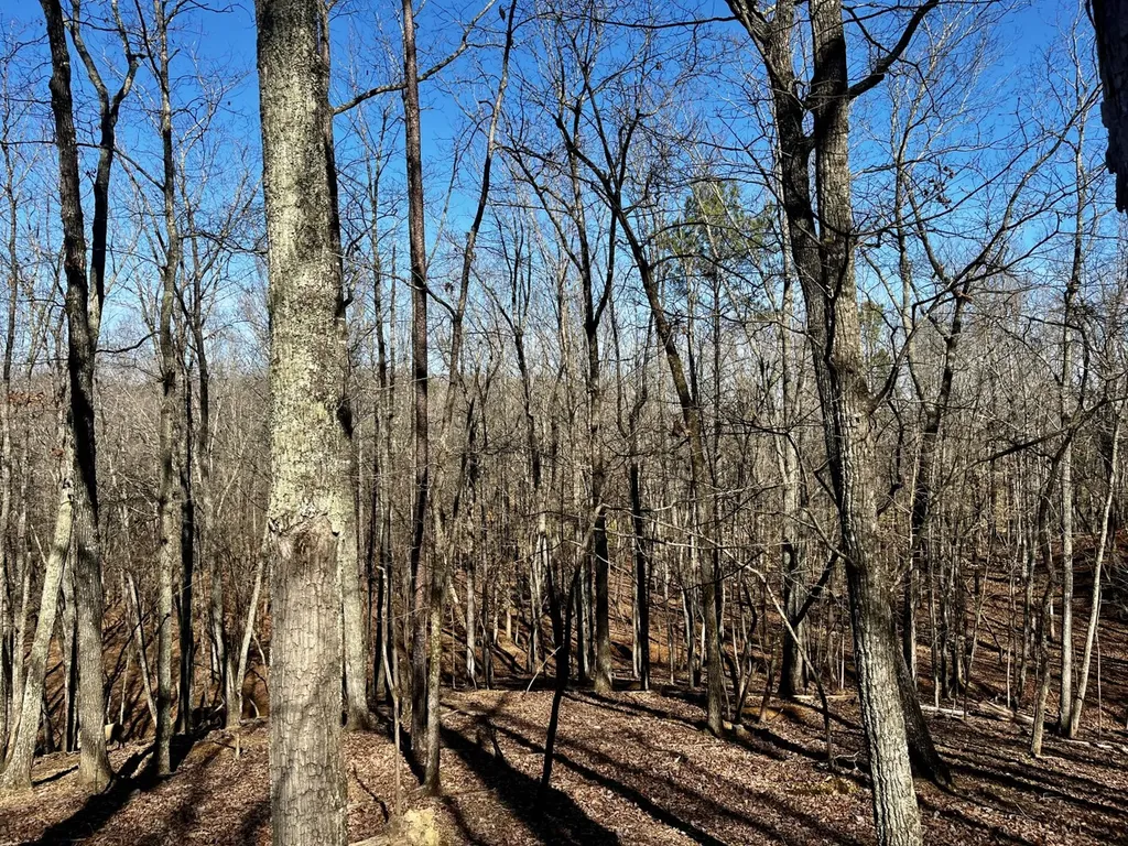 27550 Alabama 25 Wilsonville AL 35186