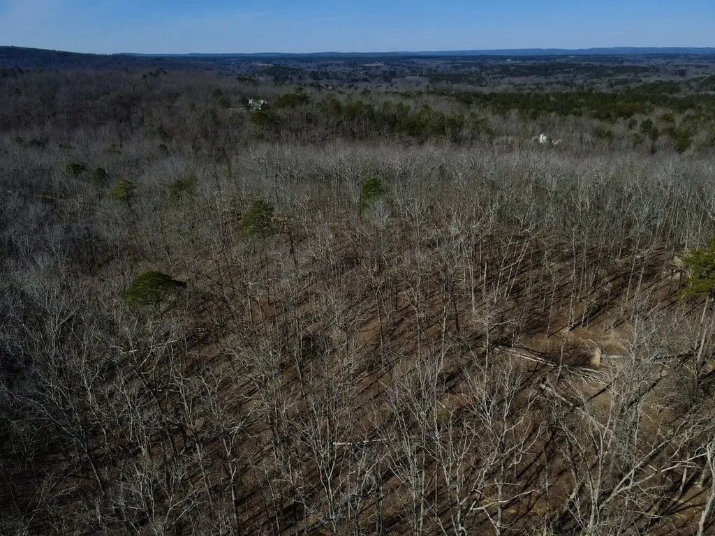 27550 Alabama 25 Wilsonville AL 35186