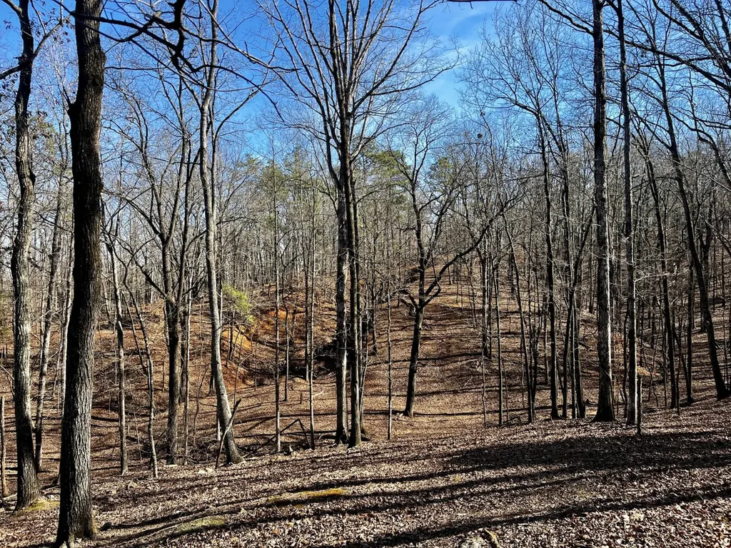 27550 Alabama 25 Wilsonville AL 35186