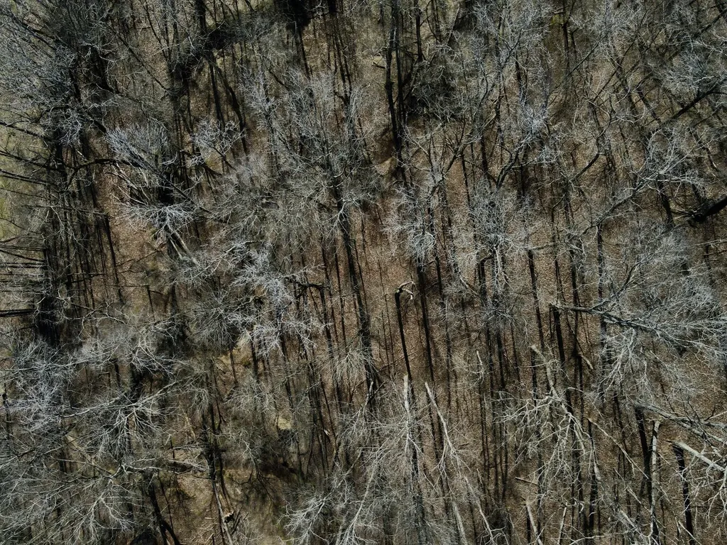 27550 Alabama 25 Wilsonville AL 35186