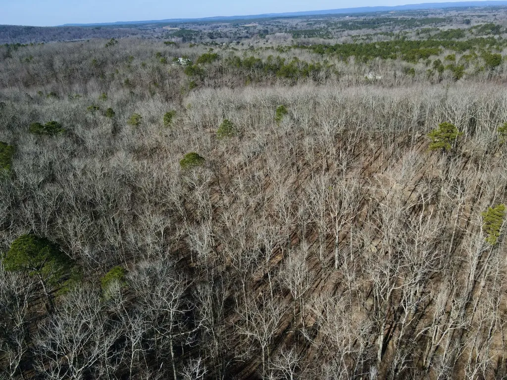 27550 Alabama 25 Wilsonville AL 35186