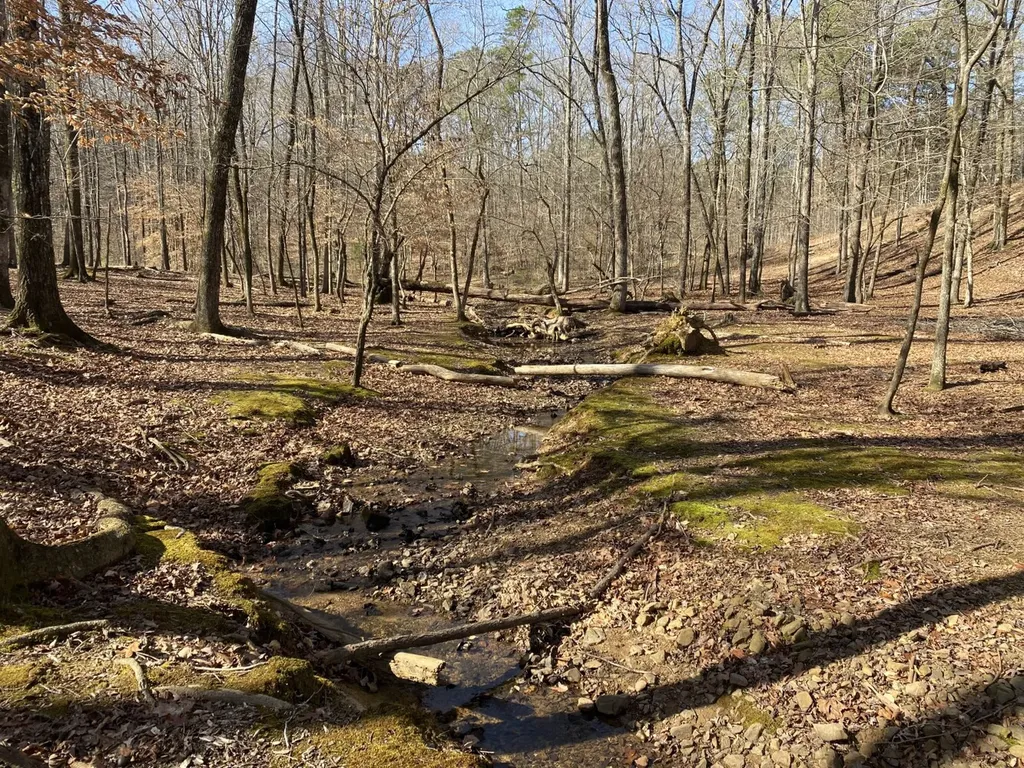 27550 Alabama 25 Wilsonville AL 35186