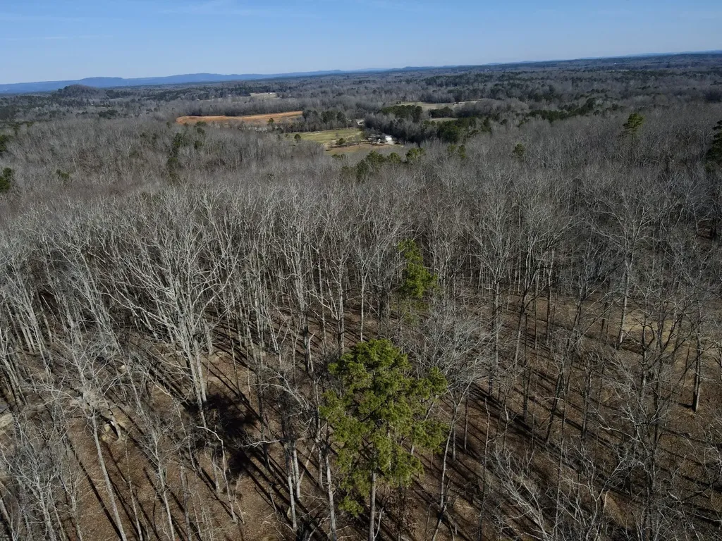 27550 Alabama 25 Wilsonville AL 35186