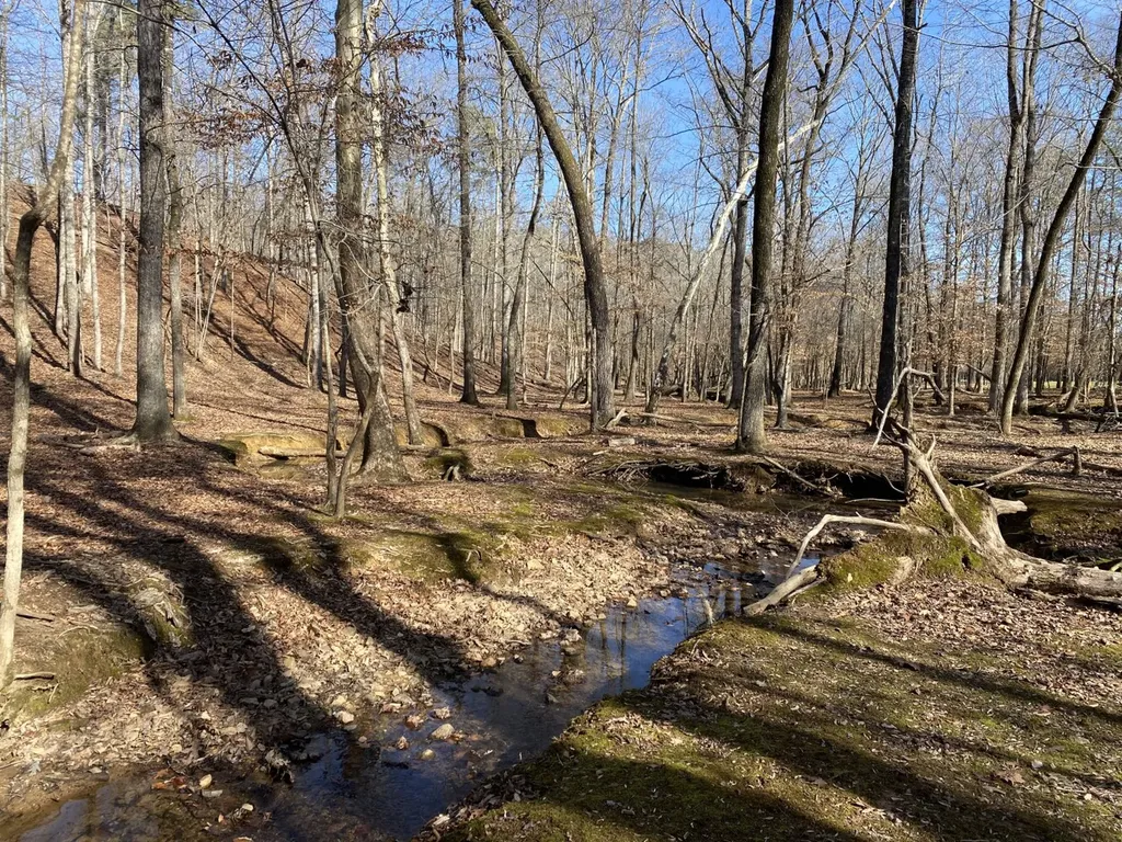 27550 Alabama 25 Wilsonville AL 35186