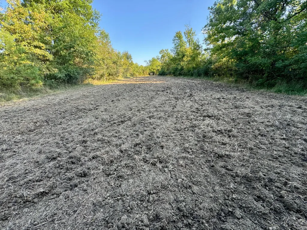 0 County Road 63 Furman AL 36768