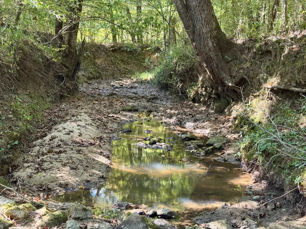 0 County Road 63 Furman AL 36768