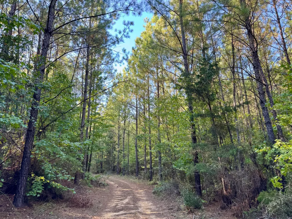 0 County Road 63 Furman AL 36768