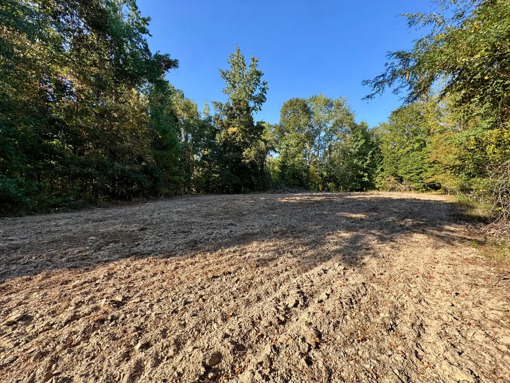 0 County Road 63 Furman AL 36768
