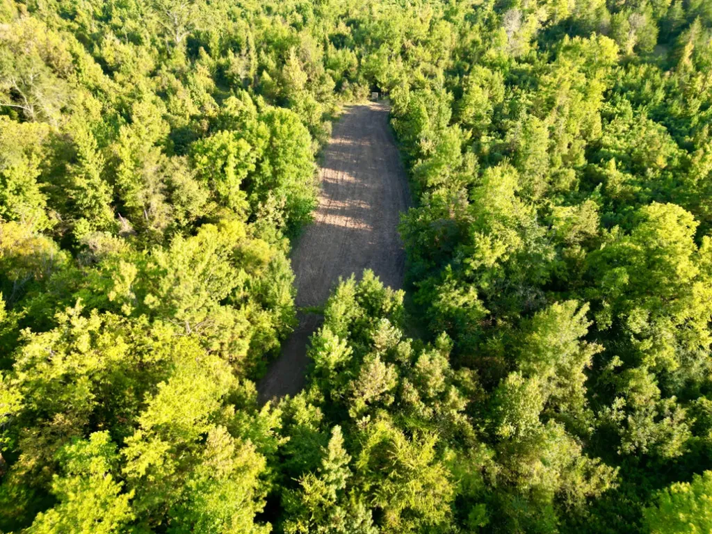 0 County Road 63 Furman AL 36768