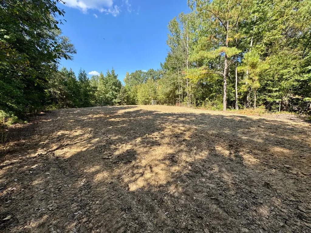 0 County Road 63 Furman AL 36768