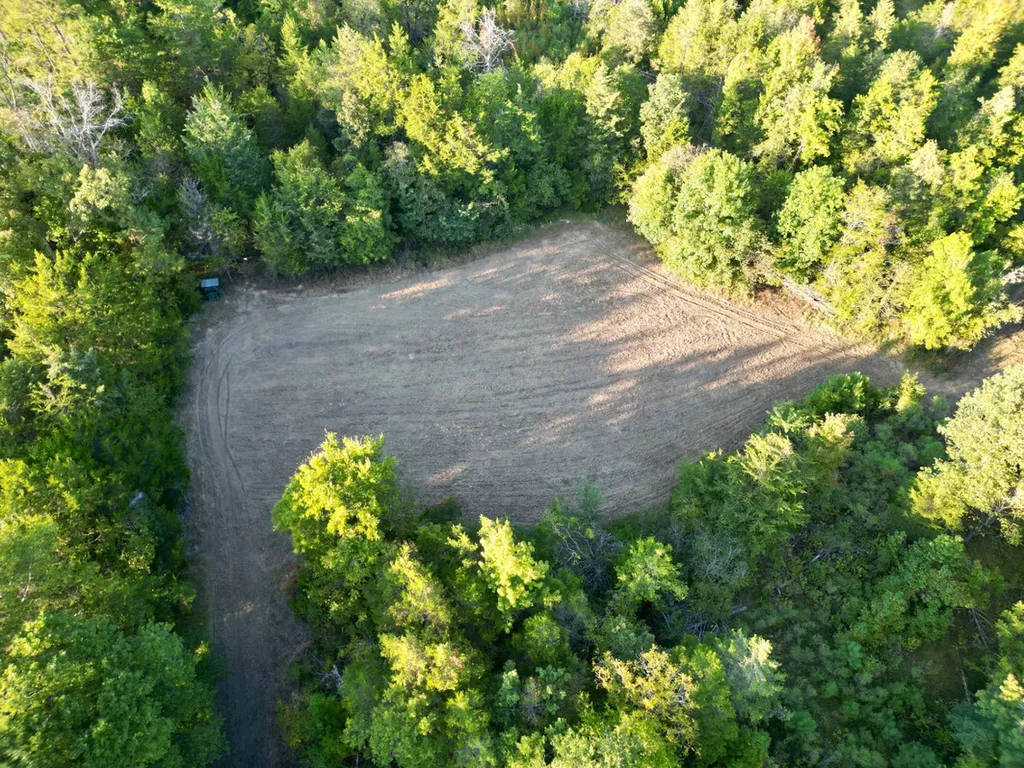 0 County Road 63 Furman AL 36768