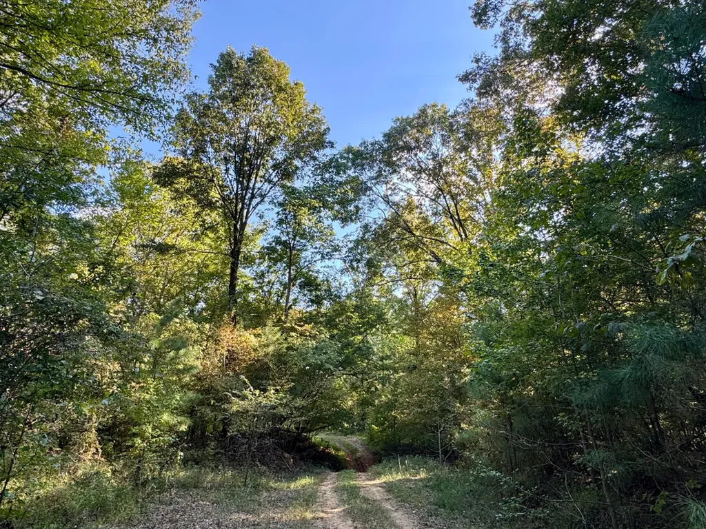 0 County Road 63 Furman AL 36768