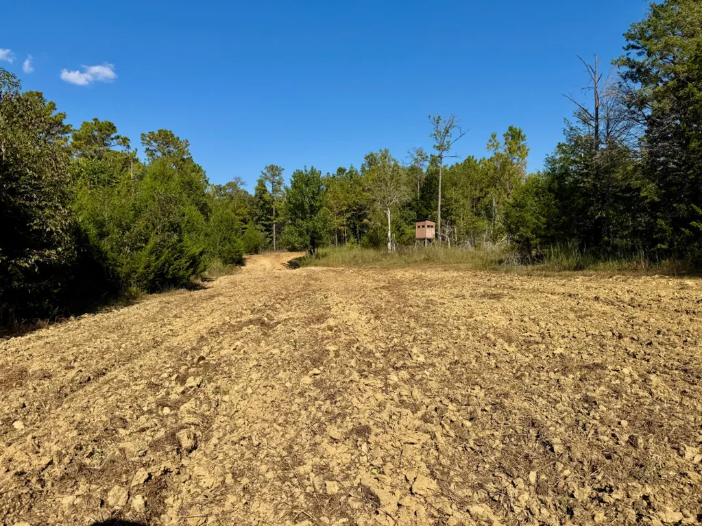 0 County Road 63 Furman AL 36768