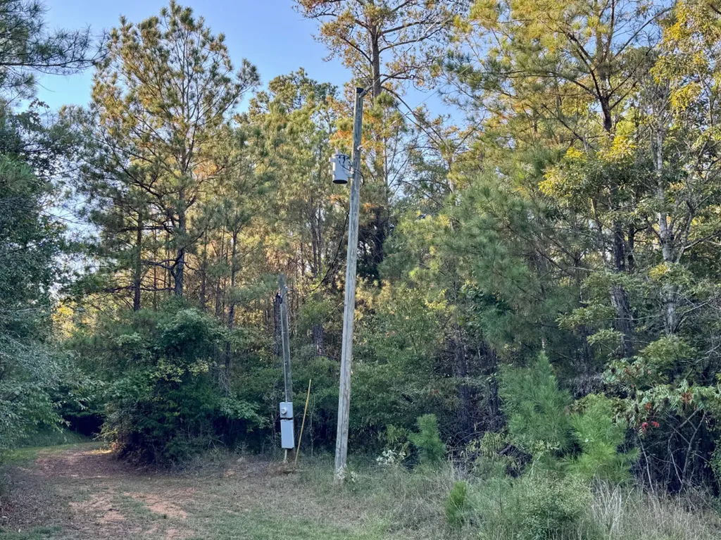 0 County Road 63 Furman AL 36768