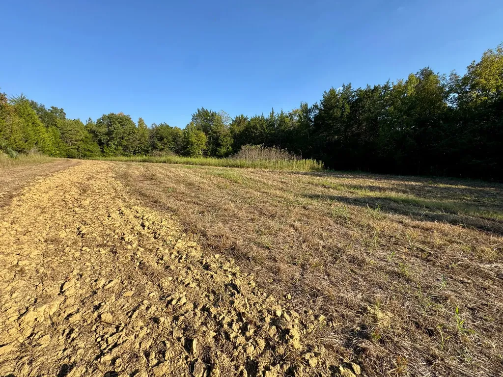 0 County Road 63 Furman AL 36768