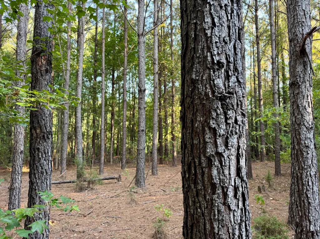 0 County Road 63 Furman AL 36768