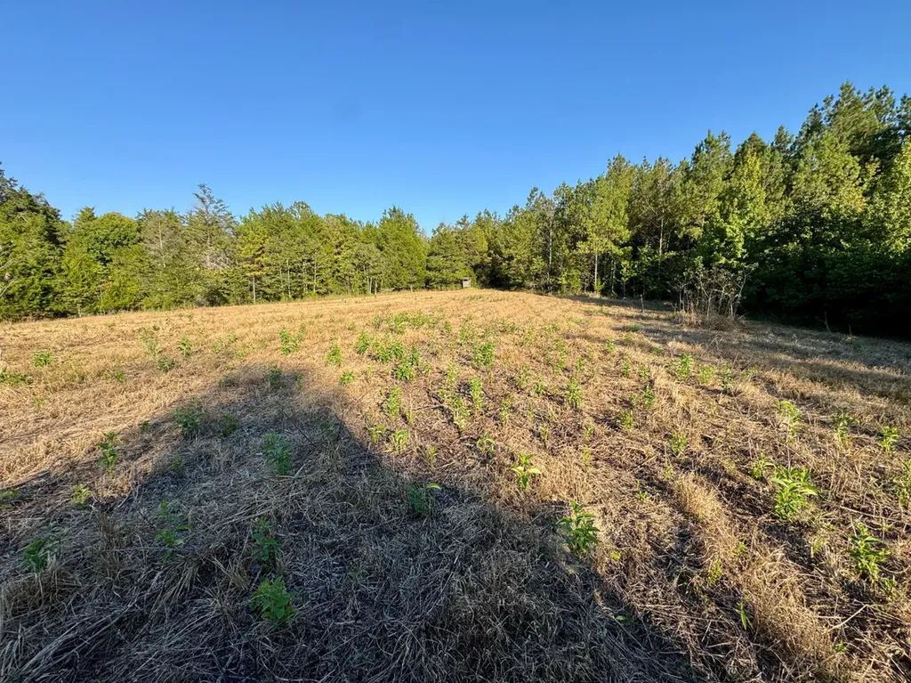 0 County Road 63 Furman AL 36768