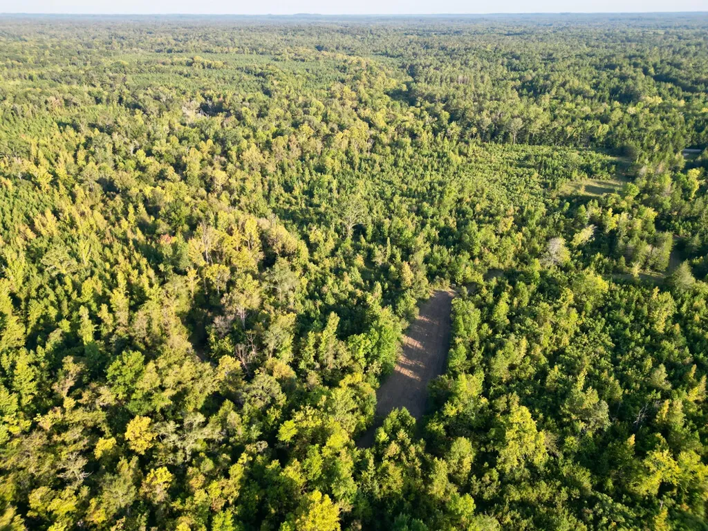 0 County Road 63 Furman AL 36768