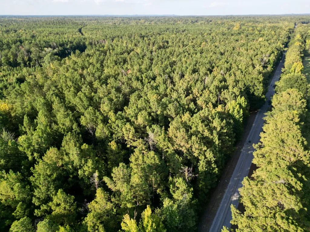 0 County Road 63 Furman AL 36768