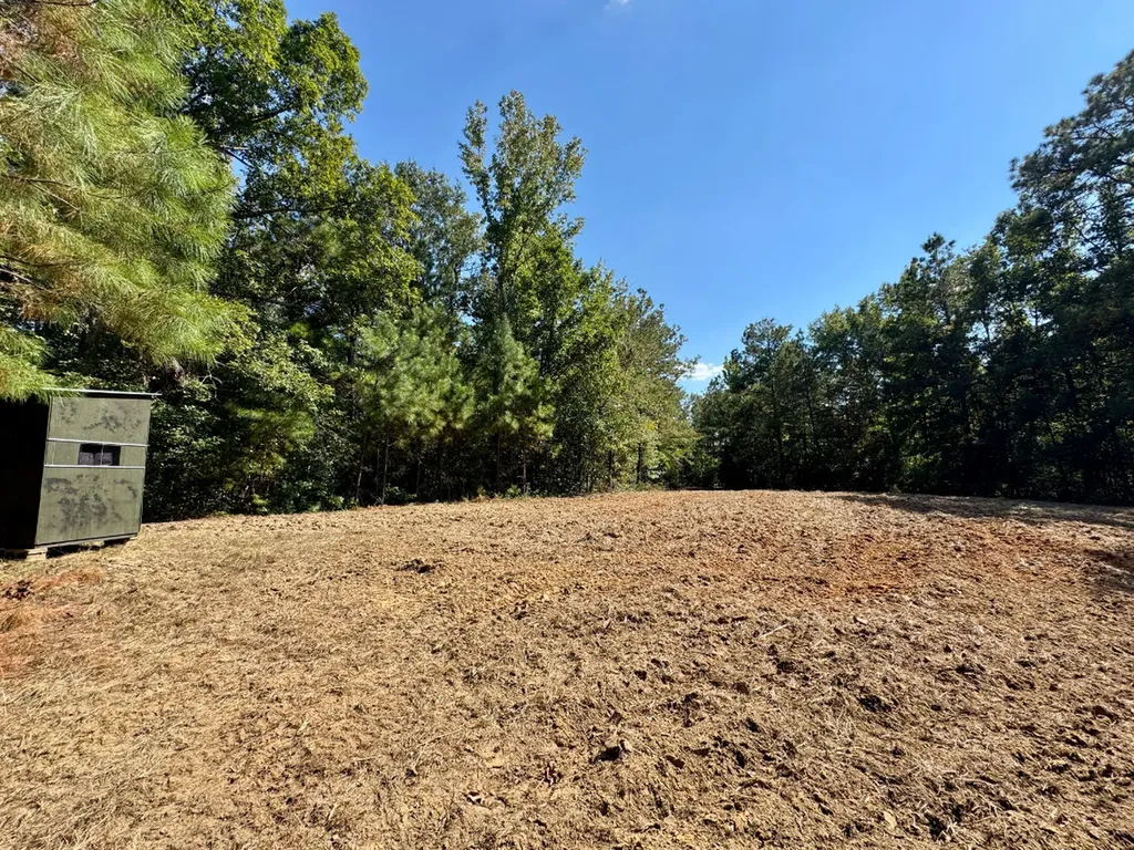 0 County Road 63 Furman AL 36768