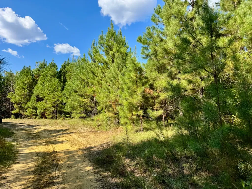 0 County Road 63 Furman AL 36768