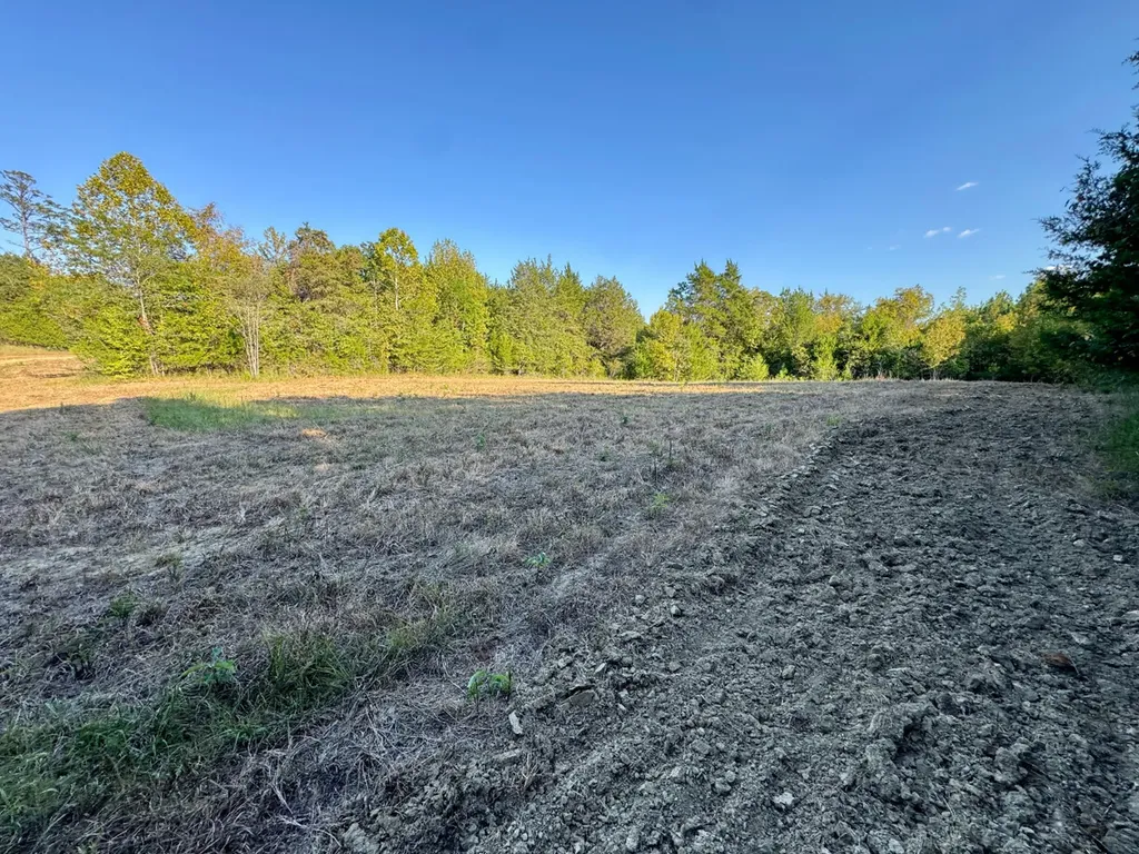 0 County Road 63 Furman AL 36768