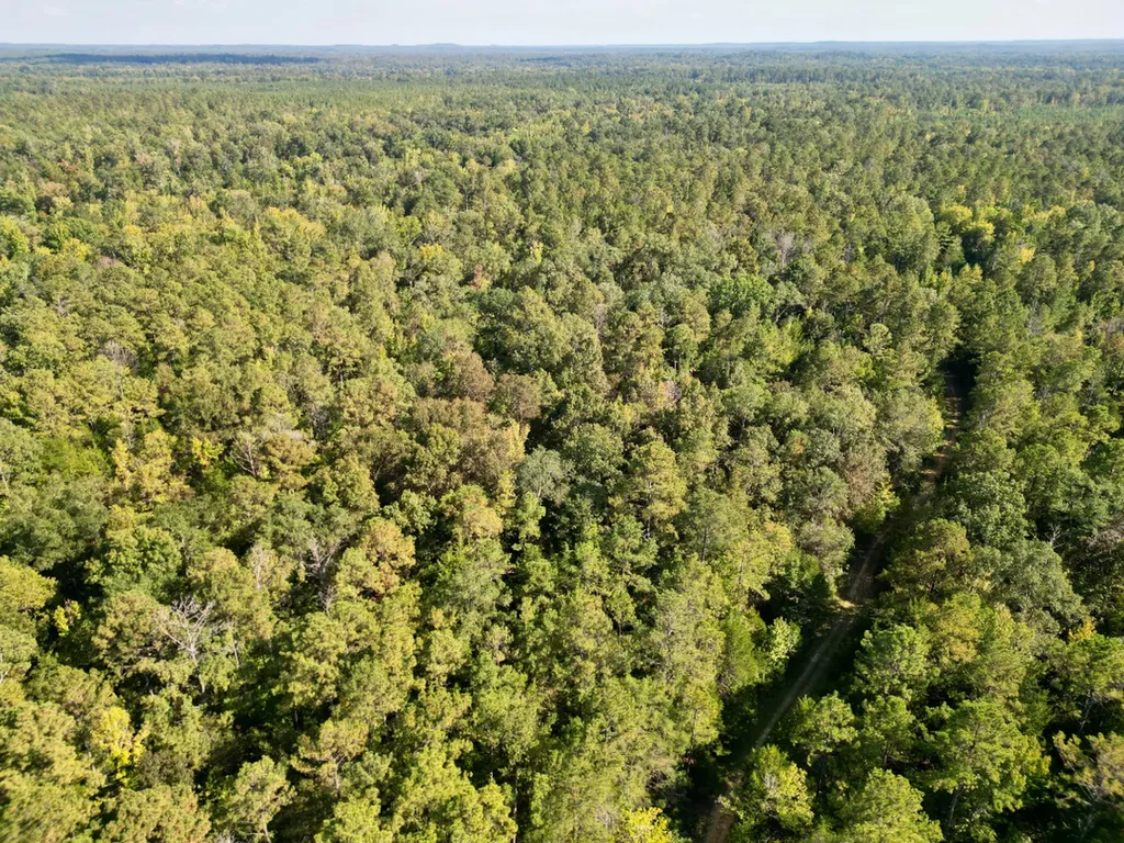 0 County Road 63 Furman AL 36768