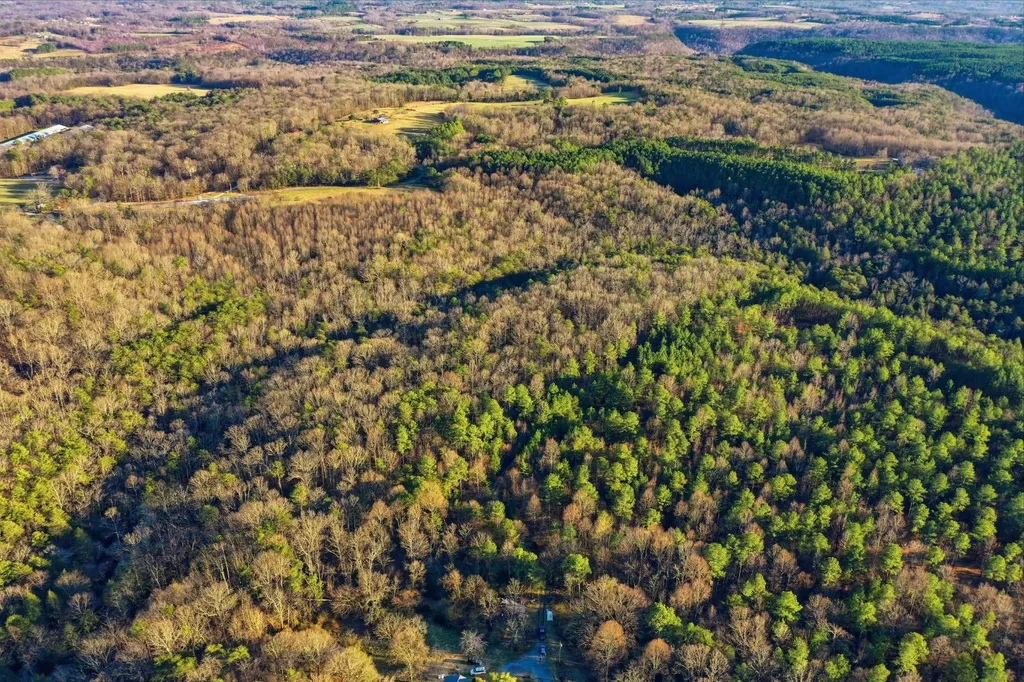 0 County Road 131 Bryant AL 35958