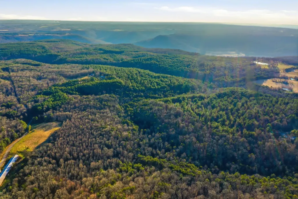 0 County Road 131 Bryant AL 35958