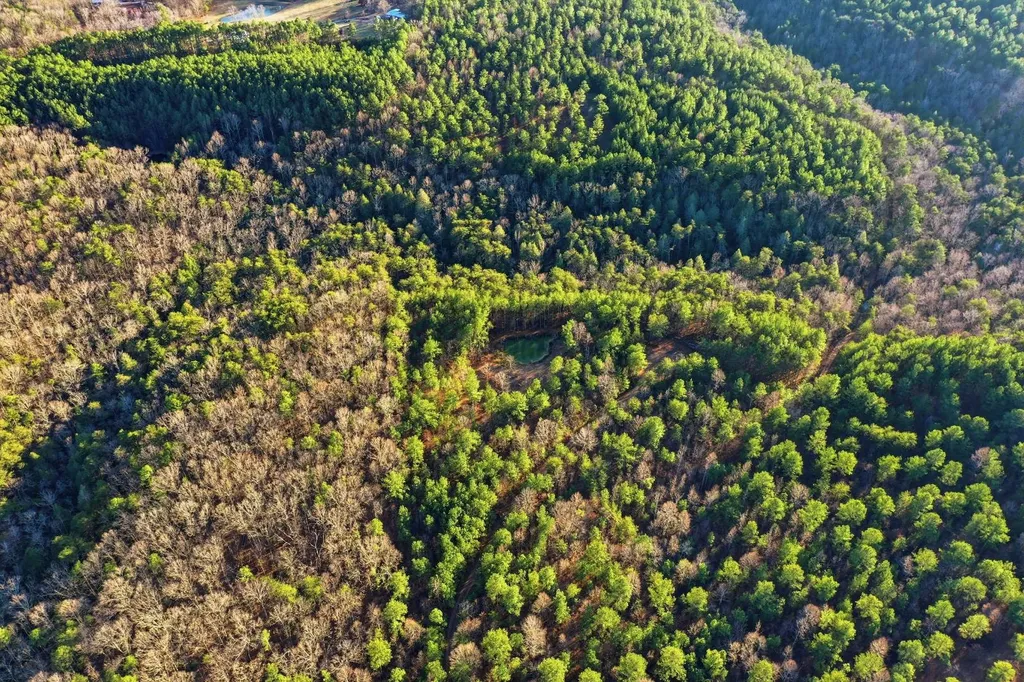 0 County Road 131 Bryant AL 35958