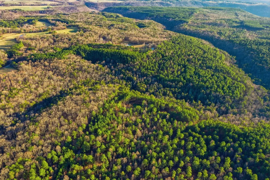 0 County Road 131 Bryant AL 35958