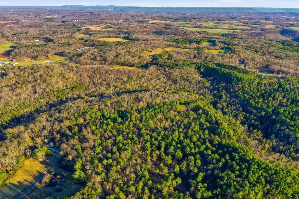 0 County Road 131 Bryant AL 35958