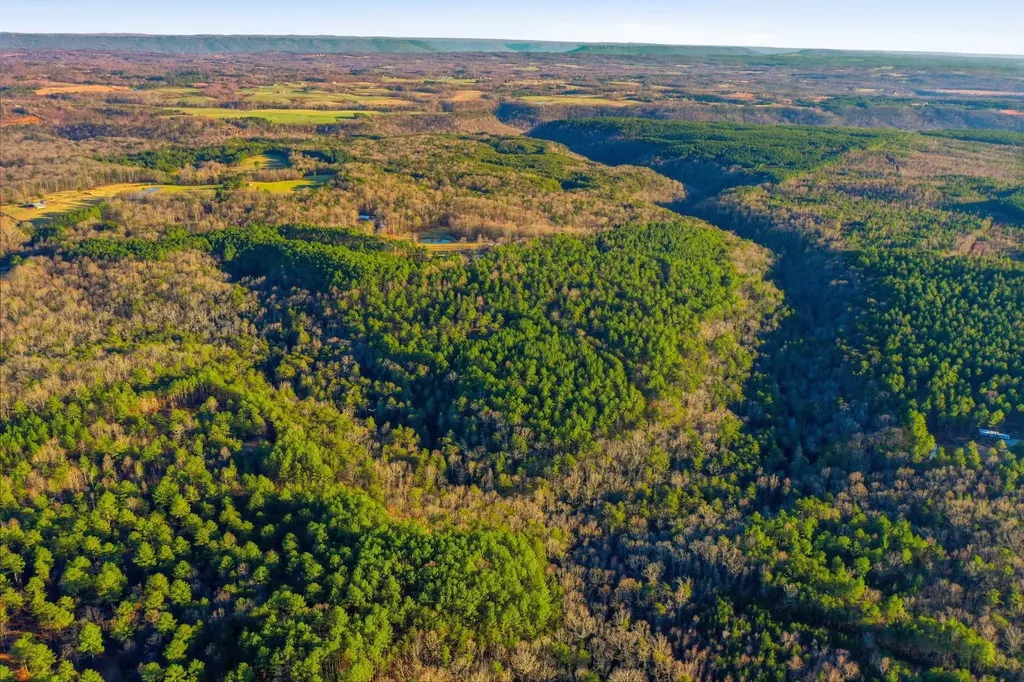 0 County Road 131 Bryant AL 35958