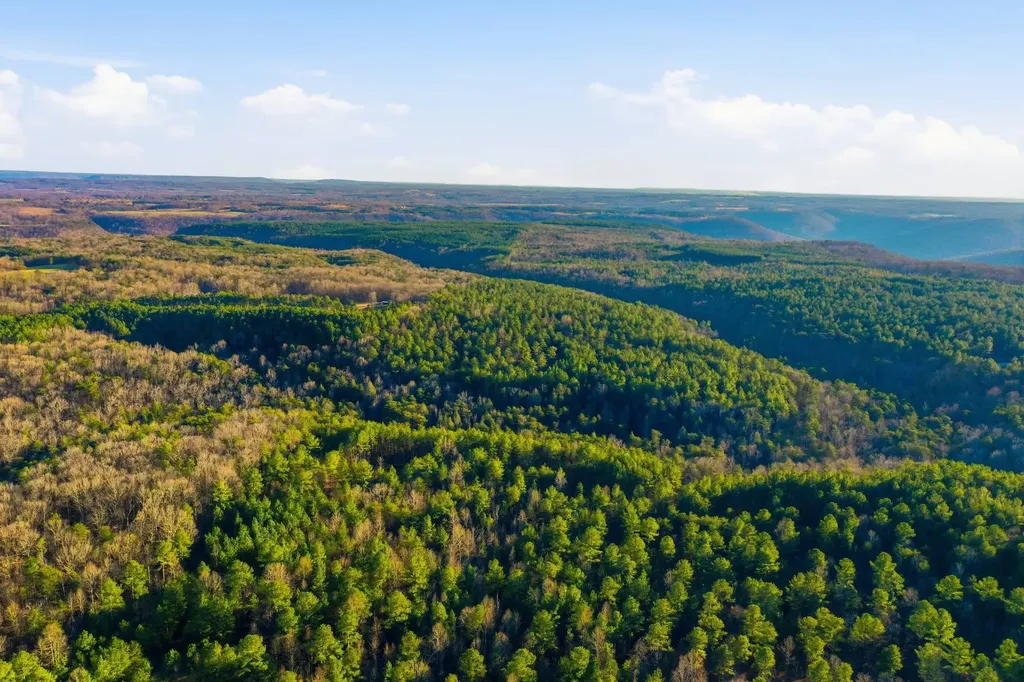 0 County Road 131 Bryant AL 35958