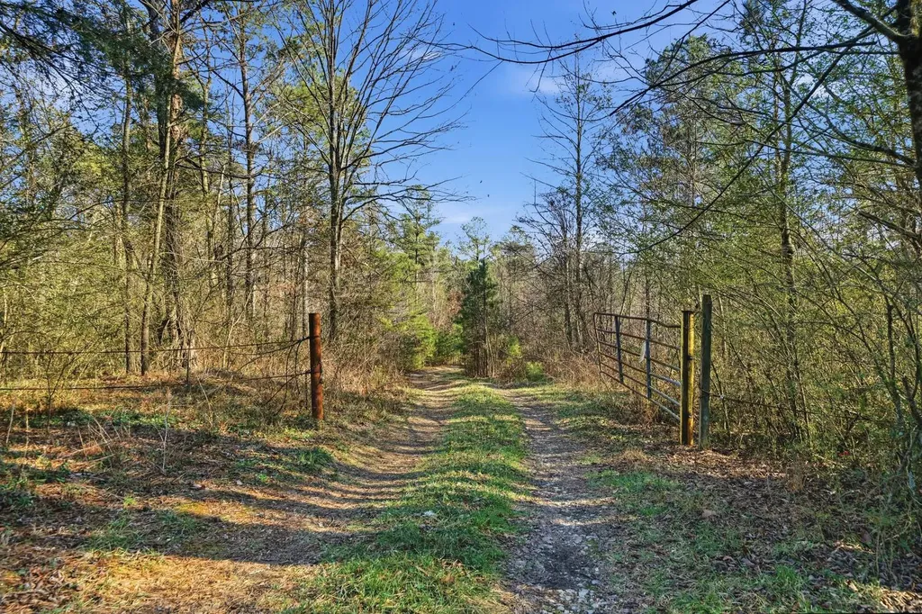 0 County Road 131 Bryant AL 35958