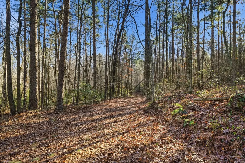 0 County Road 131 Bryant AL 35958