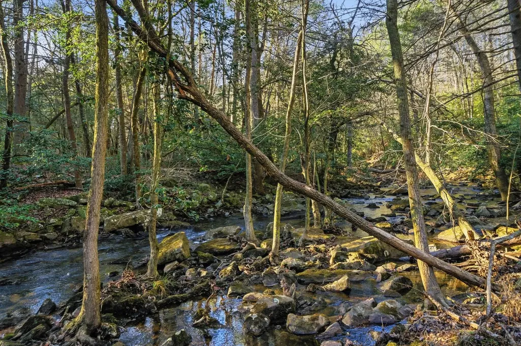 0 County Road 131 Bryant AL 35958