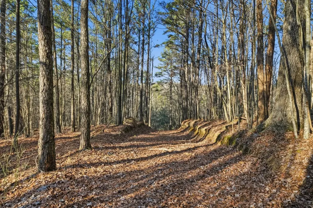 0 County Road 131 Bryant AL 35958