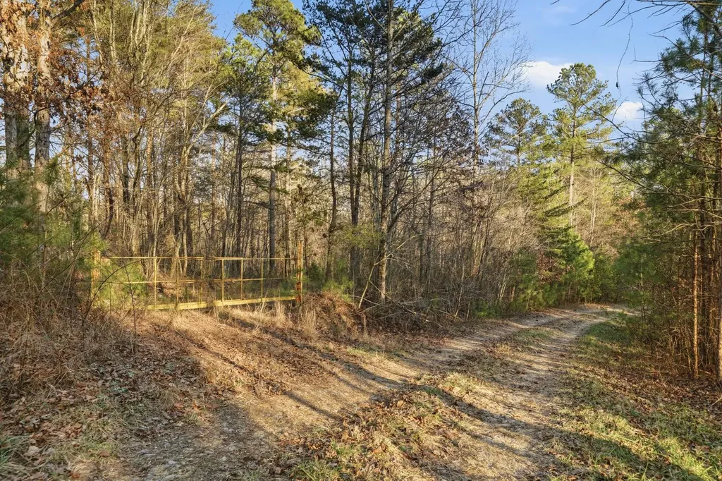 0 County Road 131 Bryant AL 35958