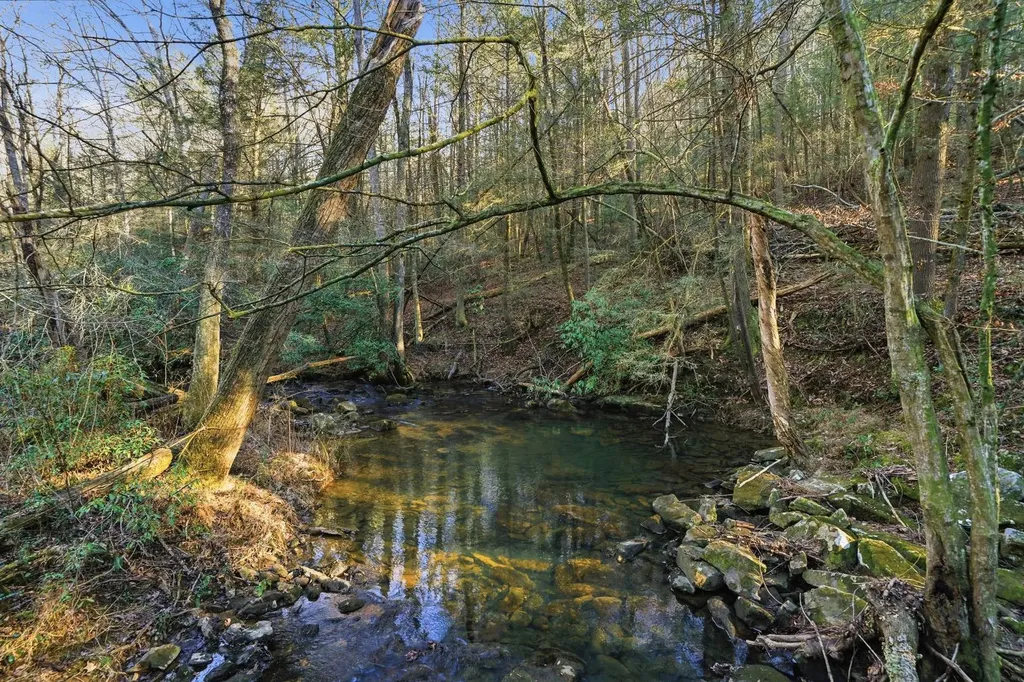 0 County Road 131 Bryant AL 35958